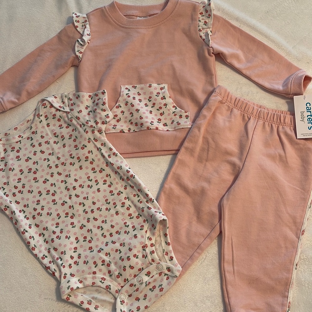 NWT Carters 3-Piece Pink W/Ditsy Floral Sweat Shirt/Pants/Bottom Snap 1-Pc 9 Mth